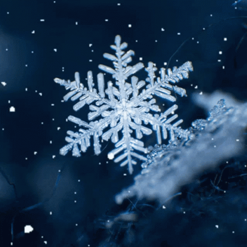A Beautiful Snowflake GIF