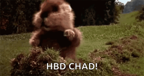 A Beaver Is Standing On Its Hind Legs In The Grass And Eating Grass . GIF