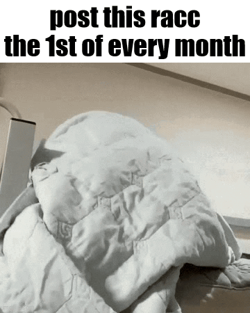 A Bed With A Blanket On It That Says Post This Race The 1St Of Every Month .. GIF