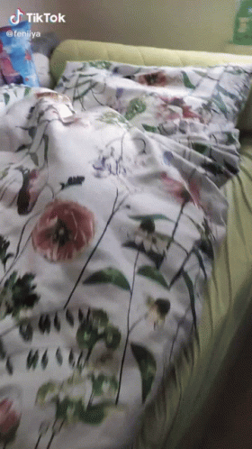 Bed With Floral Comforter And TikTok Icon GIF