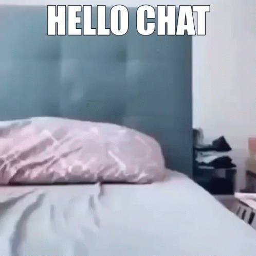 a bed with a pillow on it and the words `` hello chat '' written on it