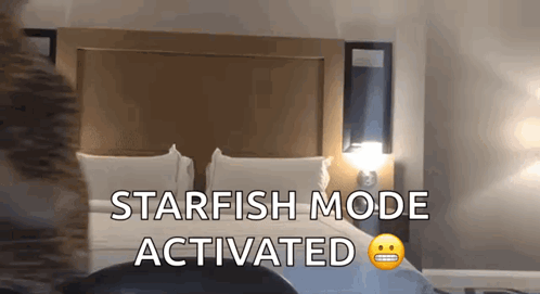 A Bedroom With A Bed And The Words Starfish Mode Activated Above It GIF