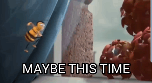 A Bee From The Movie Despicable Me Is Flying In Front Of A Sponge And The Words `` Maybe This Time '' . GIF