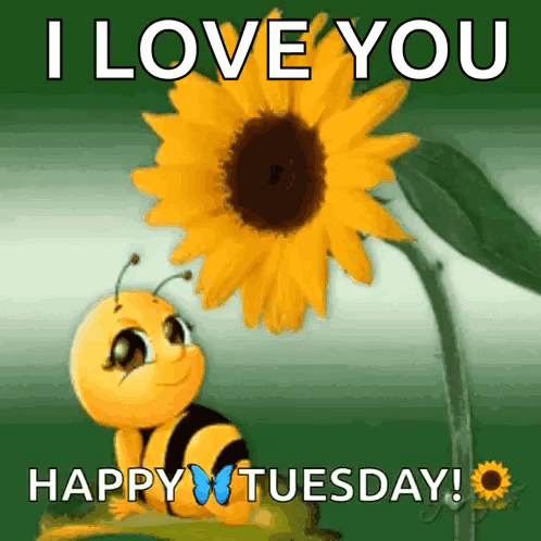 A Bee Is Sitting On A Sunflower With The Words I Love You Happy Tuesday GIF