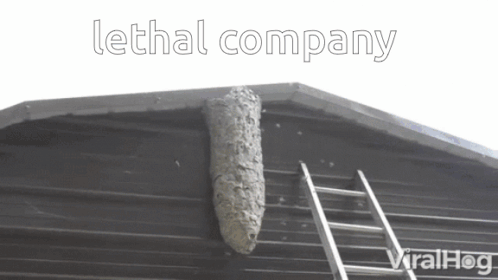 A Beehive On The Side Of A Building With The Words Lethal Company Written Above It GIF