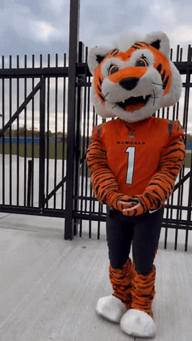 A Bengals Mascot Is Standing In Front Of A Gate GIF