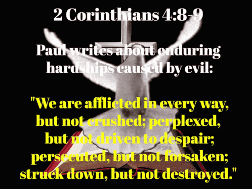 A Bible Verse From 2 Corinthians 4 Shows A Dove And A Cross GIF