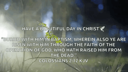 A Bible Verse From Colossians 2:12 Kjv Is Shown GIF