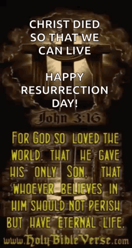 A Bible Verse That Says Christ Died So That We Can Live GIF