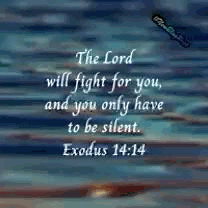 A Bible Verse That Says `` The Lord Will Fight For You , And You Only Have To Be Silent . '' GIF