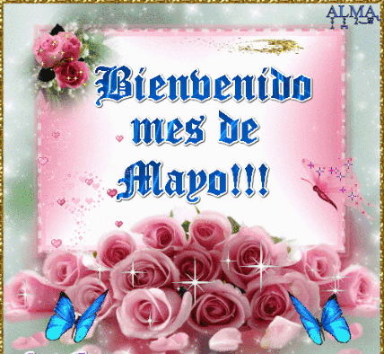 A Bienvenido Mes De Mayo Card With Pink Roses And Butterflies GIF