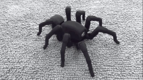 A Big Black Scary Spider Crawling GIF