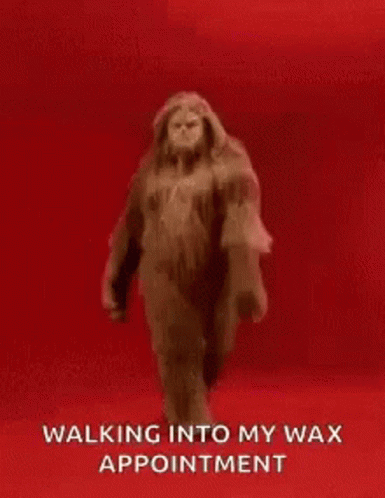 A Big Foot Is Walking Into A Wax Appointment . GIF