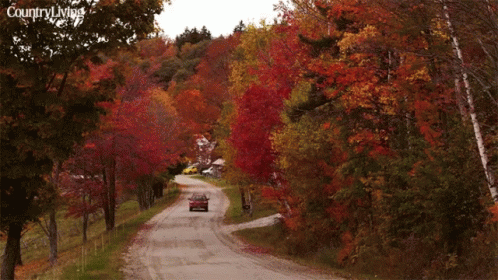 A Billboard-Free Road Runs Through Some Of Rmonts Quaint Villages GIF