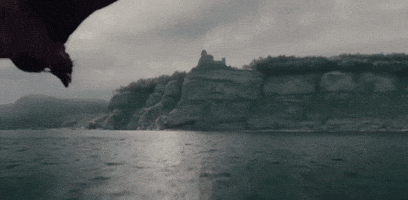A Bird Flying Over A Body Of Water With A Cliff In The Background GIF