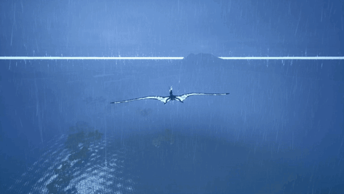 A Bird Flying Over A Body Of Water With A White Line In The Middle GIF