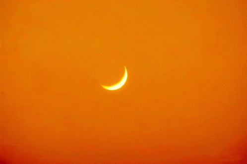 A Bird Is Flying Over A Crescent Moon In The Sky GIF