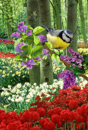 A Bird Is Perched On A Branch In A Garden Of Flowers GIF