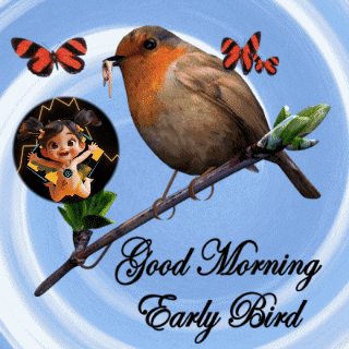 A Bird Is Perched On A Branch With The Words " Good Morning Early Bird " Below It GIF