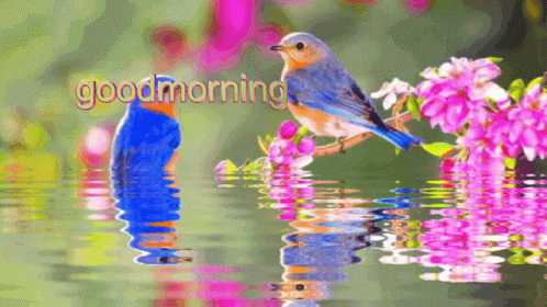 A Bird Is Sitting On A Branch In The Water And The Words Good Morning Are Visible GIF