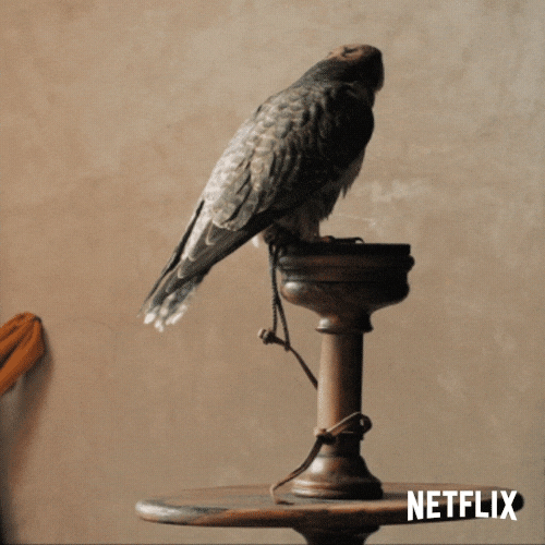 A Bird Its Poop Again GIF