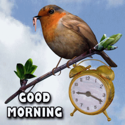 A Bird Perched On A Branch Next To An Alarm Clock With The Words Good Morning Below It GIF