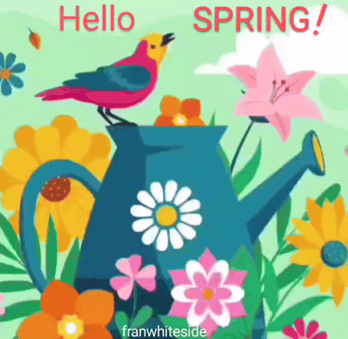 A Bird Sitting On Top Of A Watering Can With The Words Hello Spring GIF