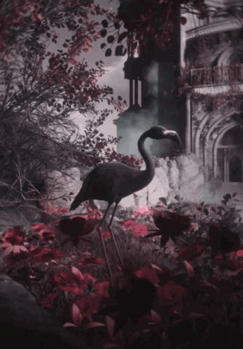 A Bird With A Long Neck Stands In A Garden GIF