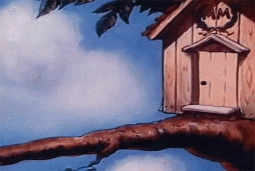 A Birdhouse Is Sitting On A Tree Branch With A Blue Sky In The Background GIF