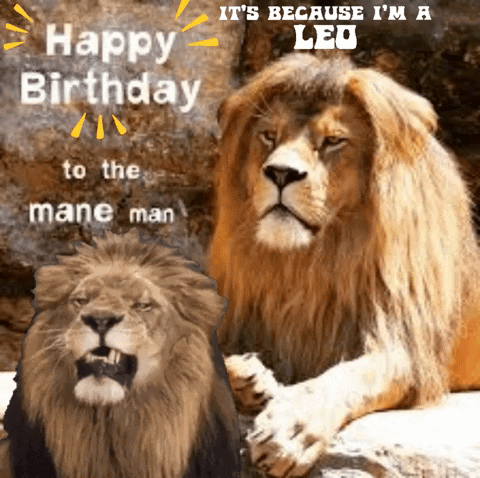 A Birthday Card For A Leo With Two Lions On It GIF