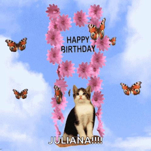 a birthday card with a cat and butterflies and the name juliana