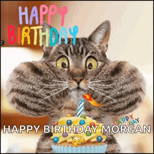 A Birthday Card With A Cat Holding A Cupcake With A Candle And The Words Happy Birthday Morgan GIF