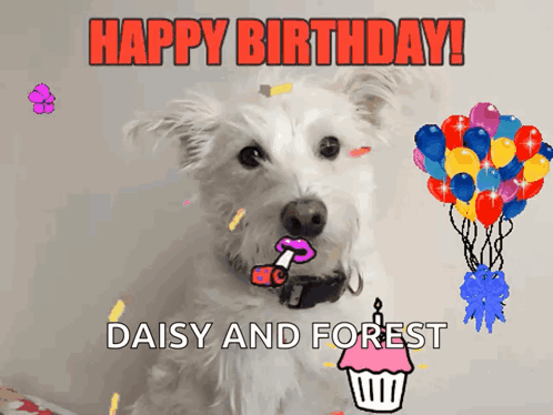 A Birthday Card With A Dog And Balloons And The Words Happy Birthday Daisy And Forest GIF