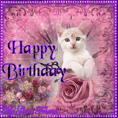a birthday card with a kitten and a pink rose