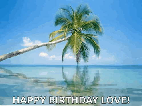 A Birthday Card With A Palm Tree On The Beach And The Words Happy Birthday Love GIF
