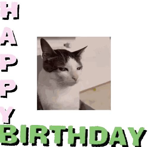 a birthday card with a picture of a cat and the words " happy birthday "