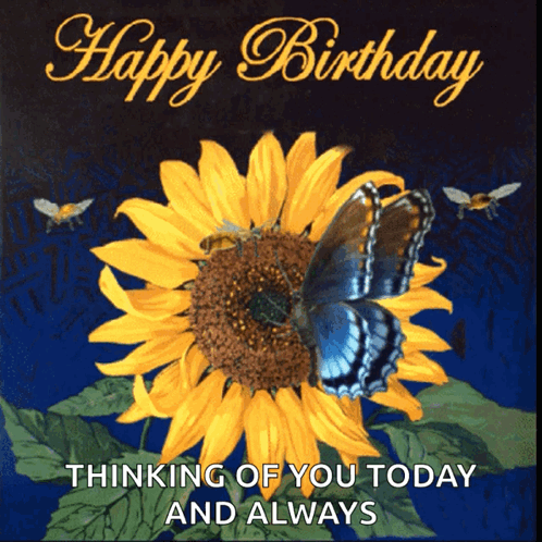 A Birthday Card With A Sunflower And Butterflies And The Words " Thinking Of You Today And Always " GIF