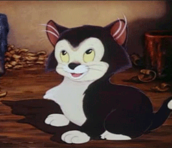 A Black And White Cartoon Cat Is Sitting On A Wooden Table . GIF