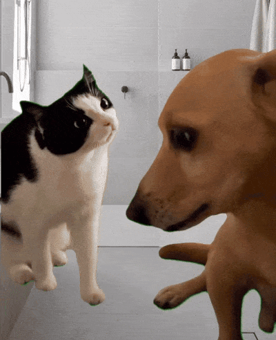 A Black And White Cat And A Brown Dog Are Looking At Each Other GIF