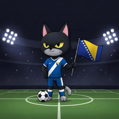 A Black And White Cat Holding A Flag And A Soccer Ball GIF
