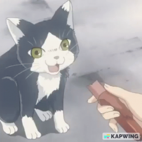 A Black And White Cat Is Being Petted By A Person Holding A Book . GIF