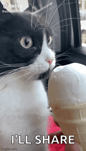 A Black And White Cat Is Eating An Ice Cream Cone With The Words I 'Ll Share Below It GIF