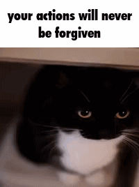 A Black And White Cat Is Hiding Under A Table With The Words `` Your Actions Will Never Be Forgiven '' GIF