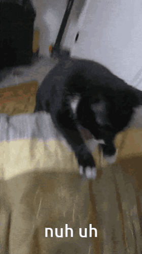 A Black And White Cat Is Laying On A Bed With The Words Nuh Uh Written Below It GIF