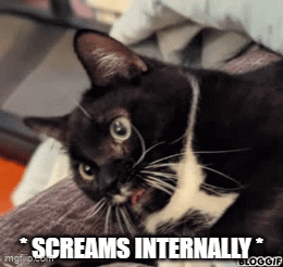 A Black And White Cat Is Laying On A Couch With The Caption Screams Internally GIF