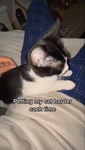 a black and white cat is laying on a person 's lap and the caption says petting my cat harder each time