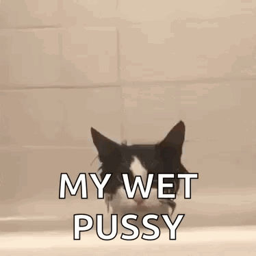 A Black And White Cat Is Peeking Out Of A Bathtub . GIF