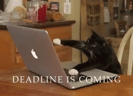 A Black And White Cat Is Playing With An Apple Laptop Computer GIF