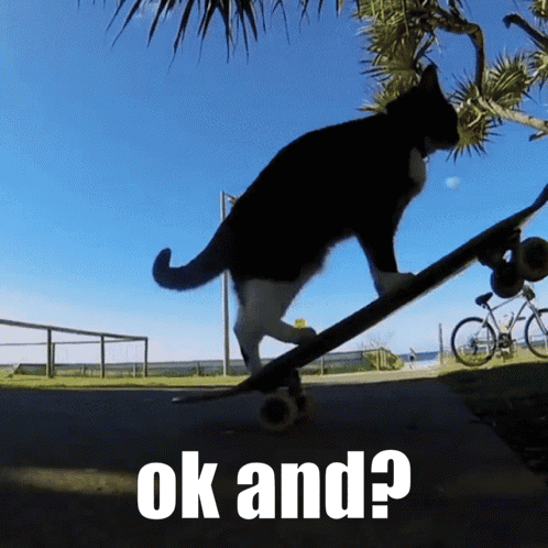 A Black And White Cat Is Riding A Skateboard With The Words " Ok And " Below It GIF