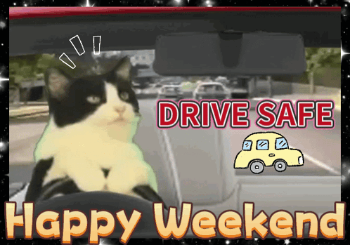 A Black And White Cat Is Sitting In A Car With The Words Drive Safe Happy Weekend GIF
